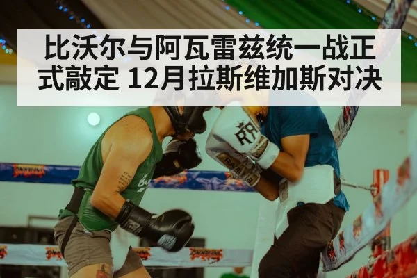比沃尔与阿瓦雷兹统一战正式敲定 12月拉斯维加斯对决